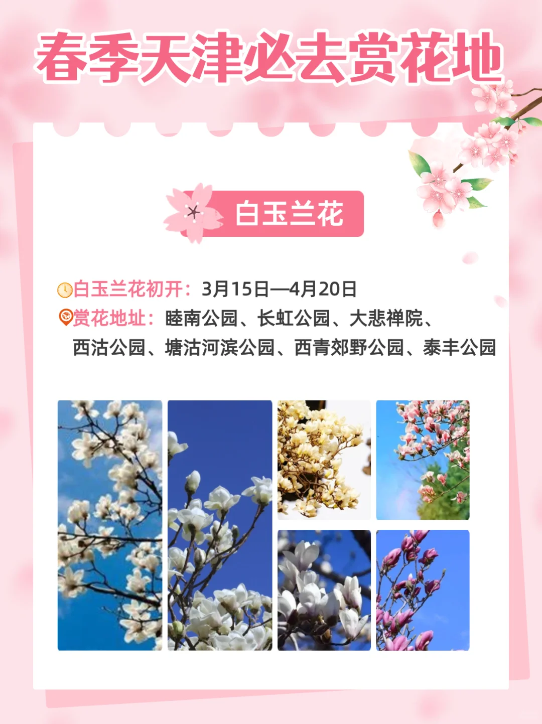 2025天津超全赏花指南🌸天津将迎来盛大花市