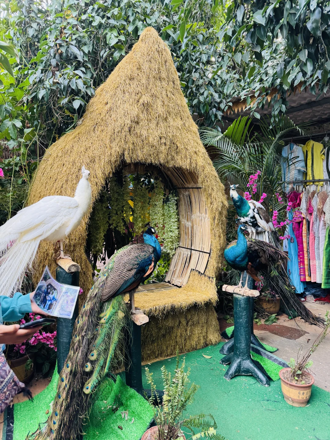 到底值不值得来 西双版纳勐泐文化旅游区