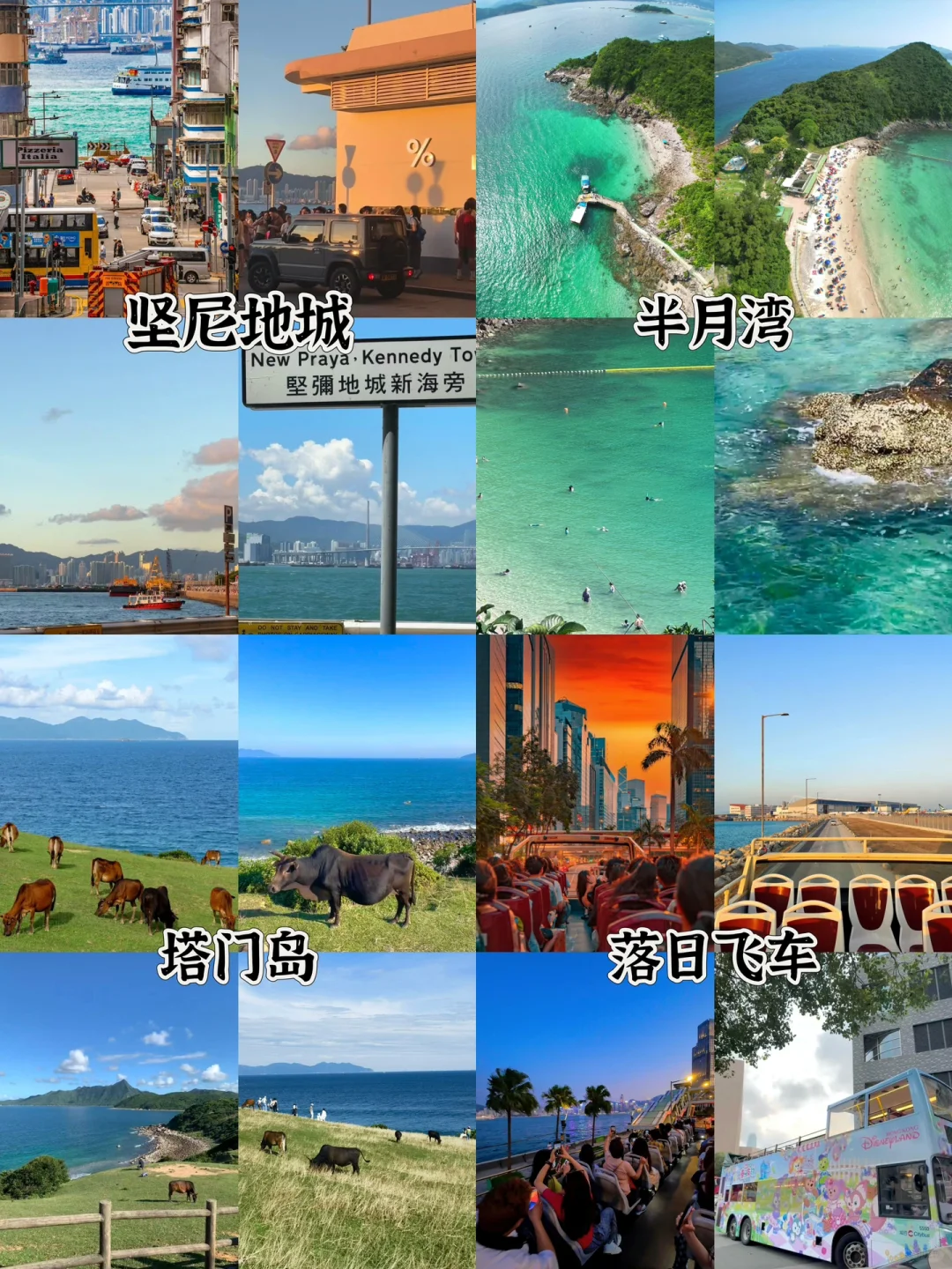 2-5🈷️去香港旅游的姐妹们👭收藏这篇攻略