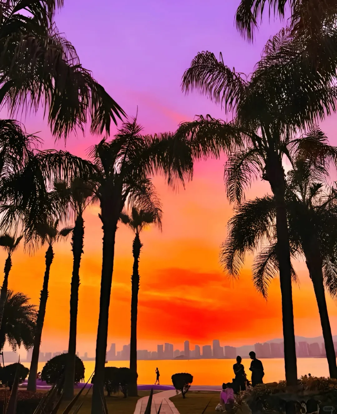 🌟【厦门旅游攻略】🌟——3天2夜玩转文艺海岛