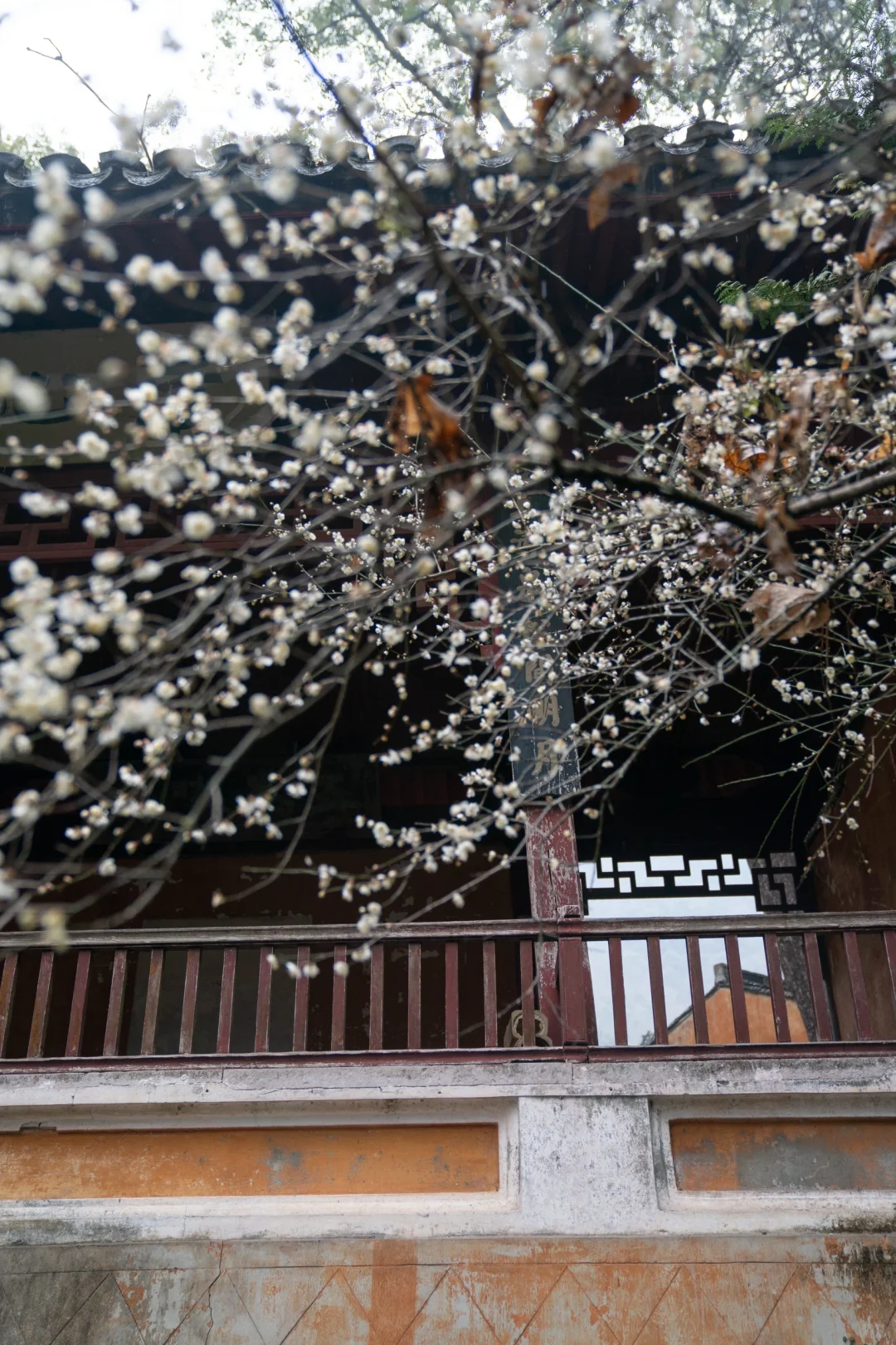 小红书里跟风最成功的一次！！！