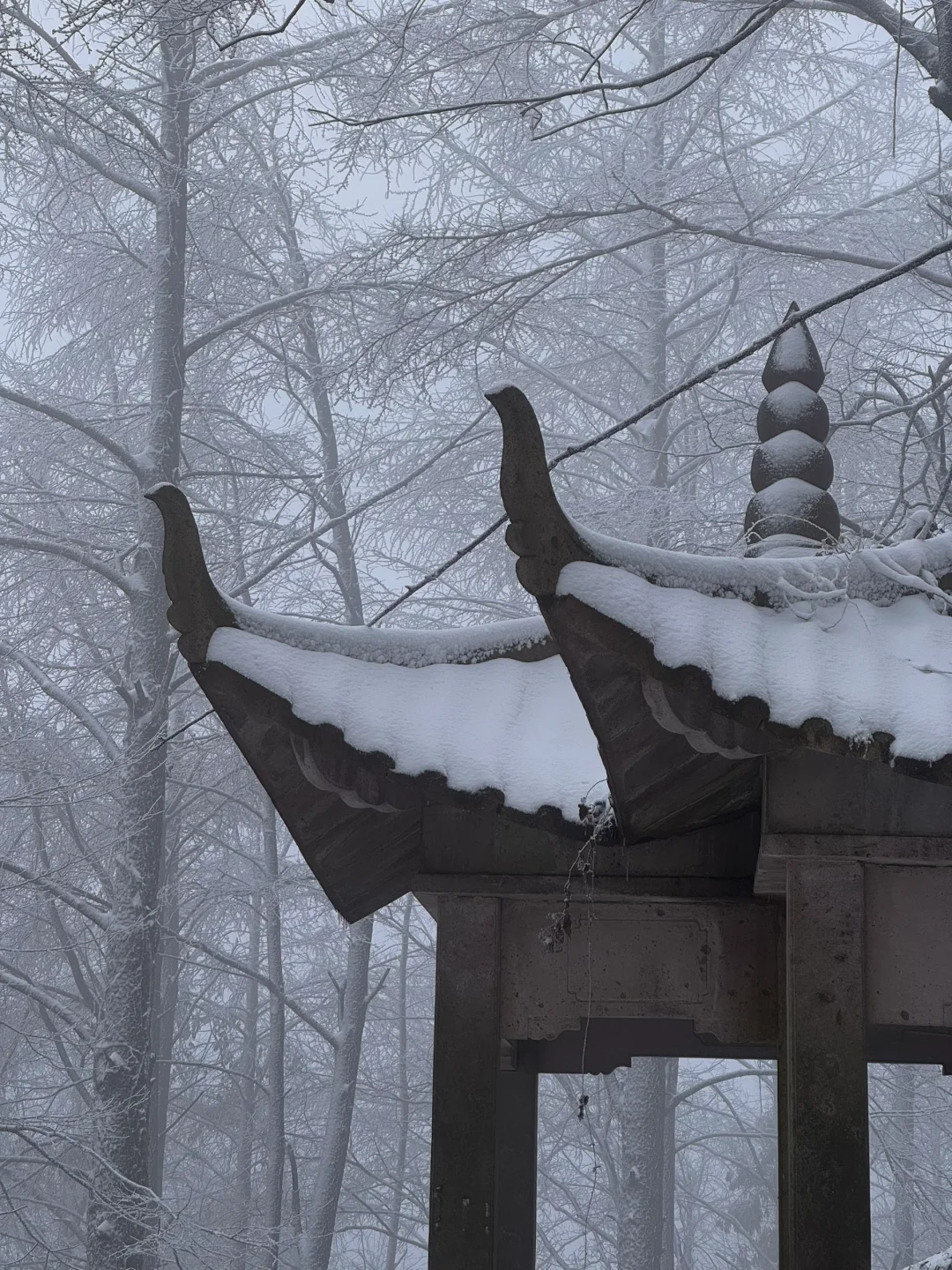 报❗️❗️莫干山2025年限定初雪(live版)