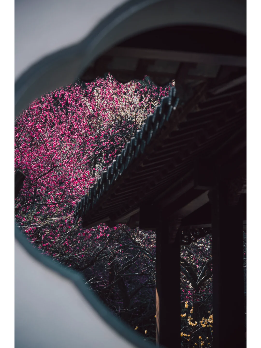 南京梅岗|终于开了‼️中式审美太好看了✌