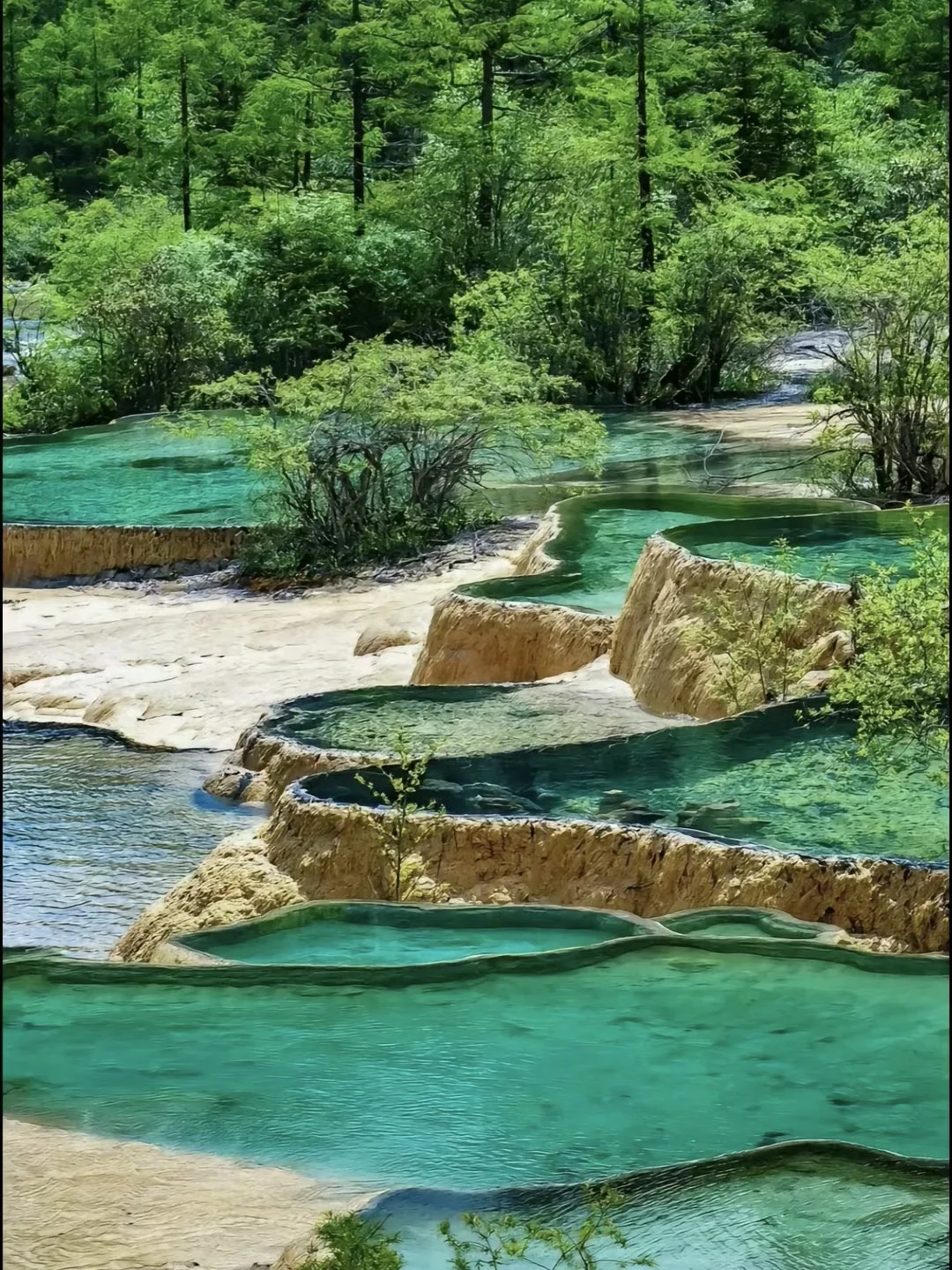 📍黄龙实拍‼️终于看到了语文课本的人间瑶池