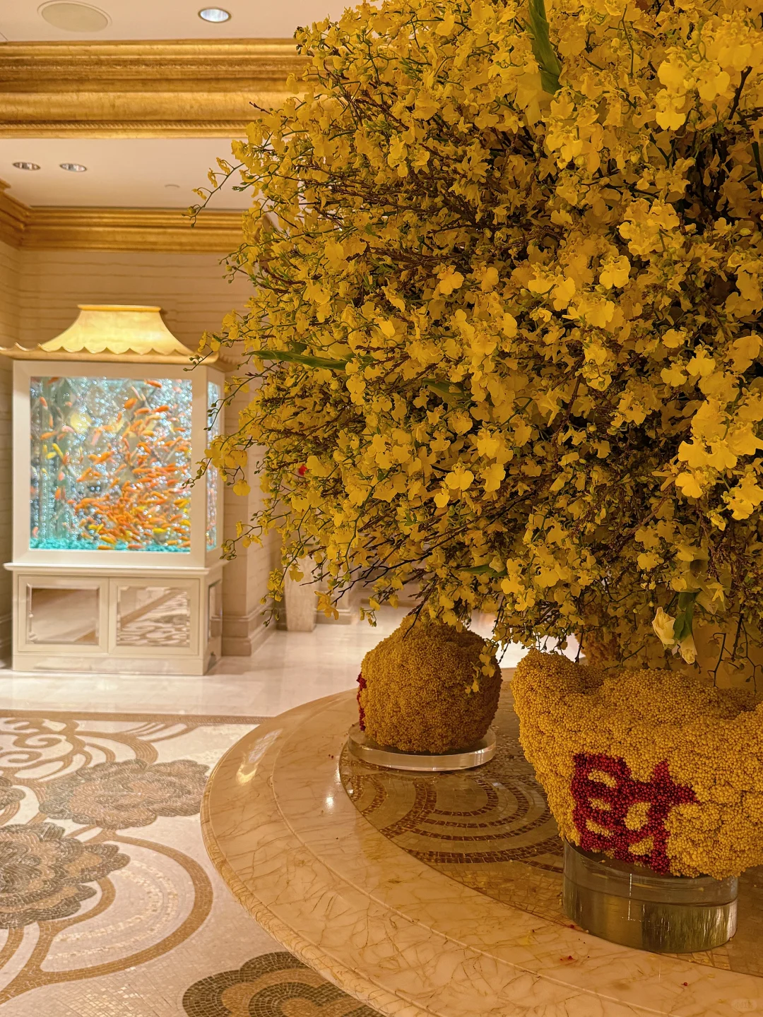 澳门🇲🇴美食｜旅游攻略