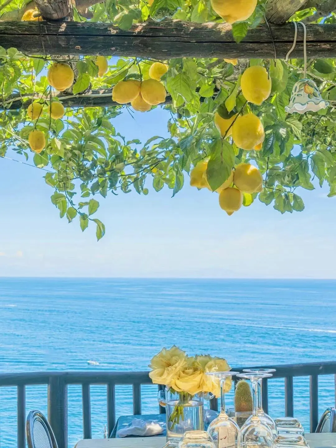 刚从法国回来😭不知道该说还是不该说…