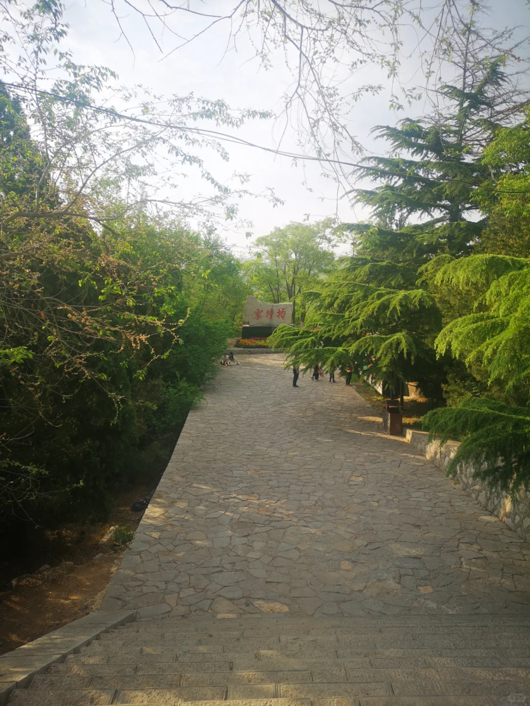 石家庄抱犊寨：历史与自然交织的奇寨之旅