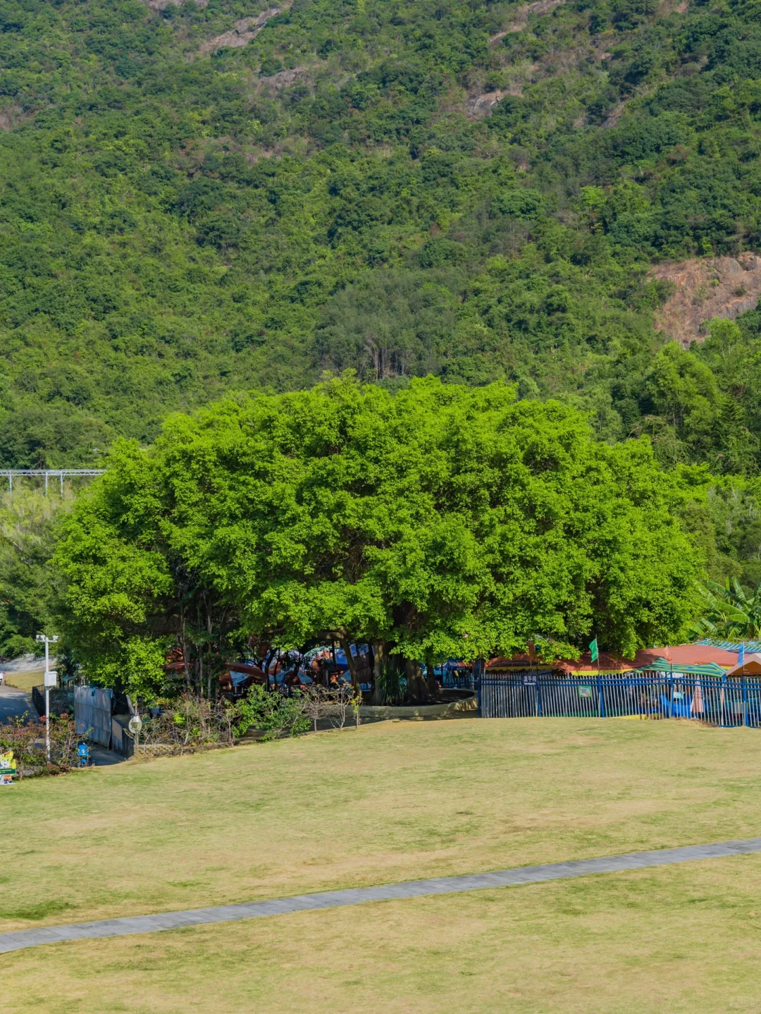 在深圳🍃去了N次依然觉得震撼的龙岗秘境❗