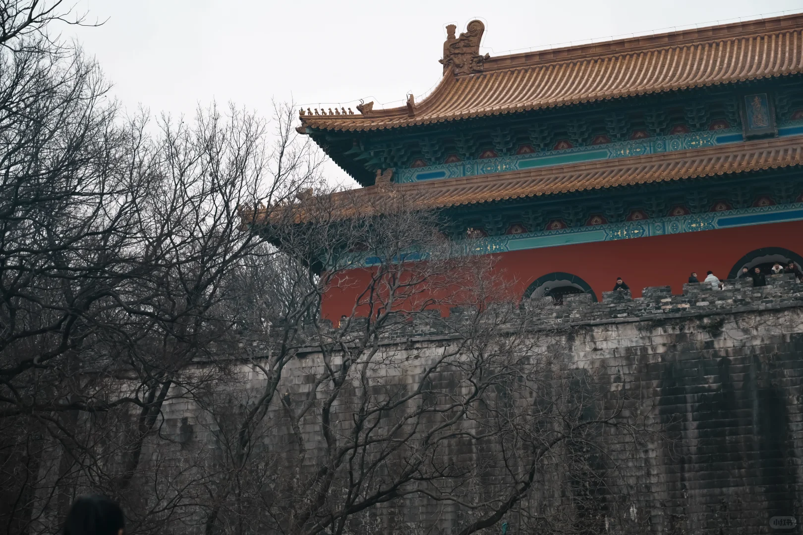 南京丨瑞评钟山景区（部分）