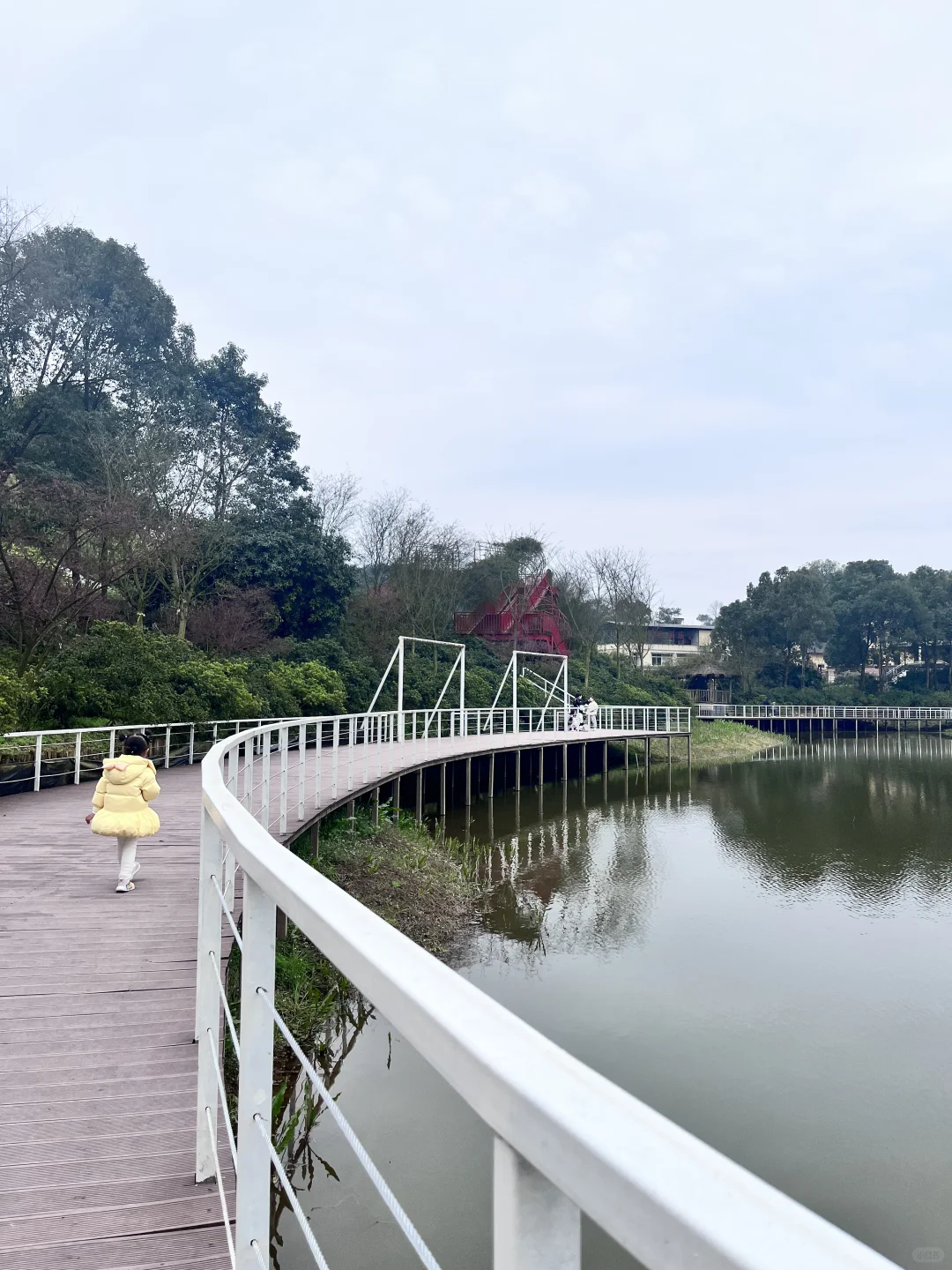 误入童话世界，周末老父亲花海里遛娃~