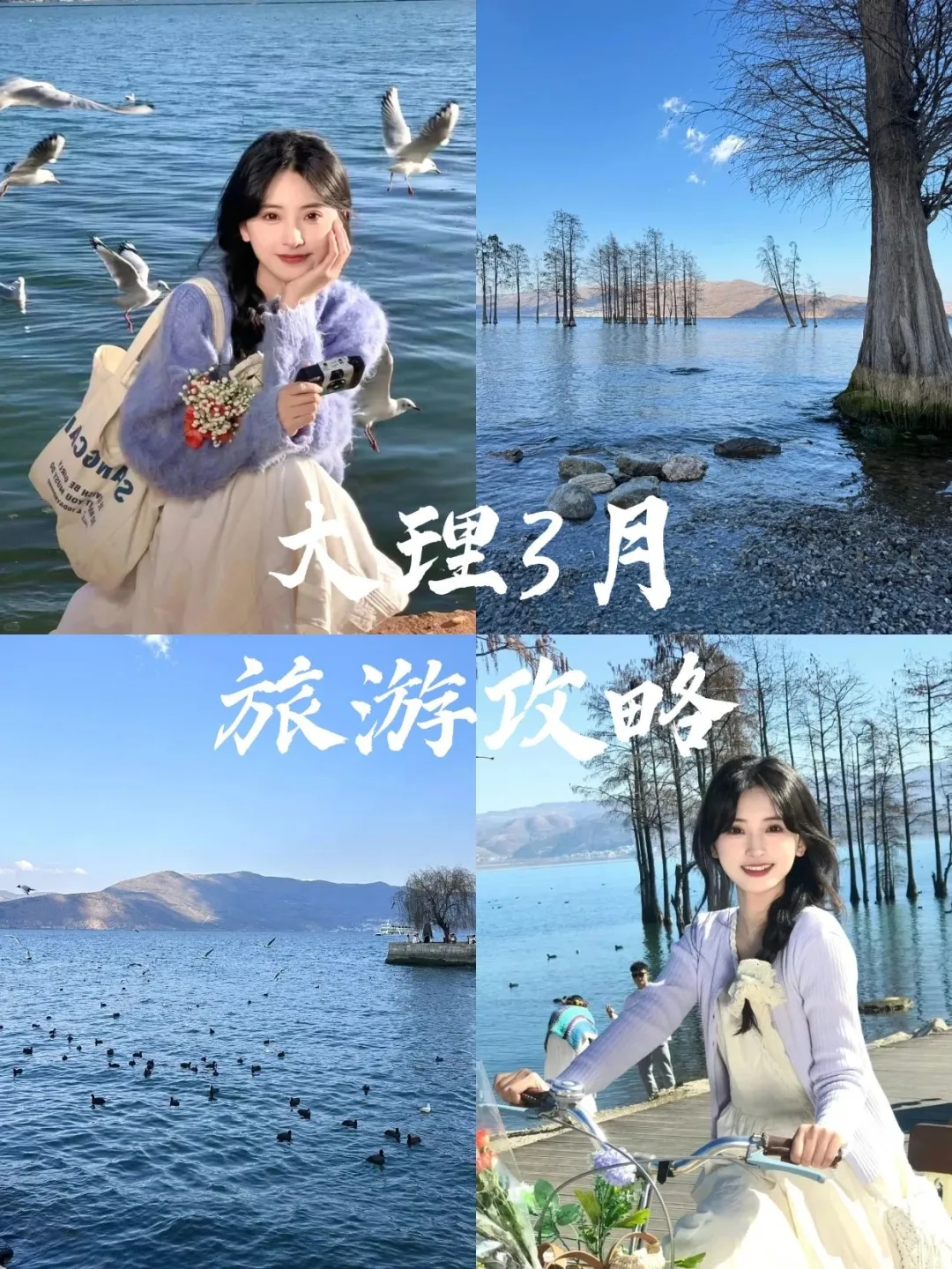 愿每个3-4月去大理的姐妹都能刷到这篇🙏