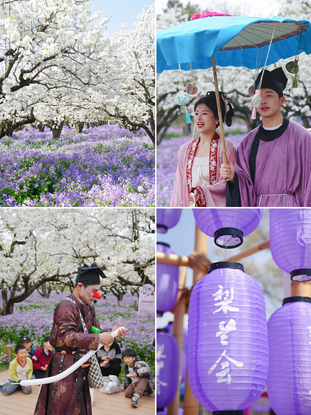 是江苏最盛大的梨兰花海啊！！！