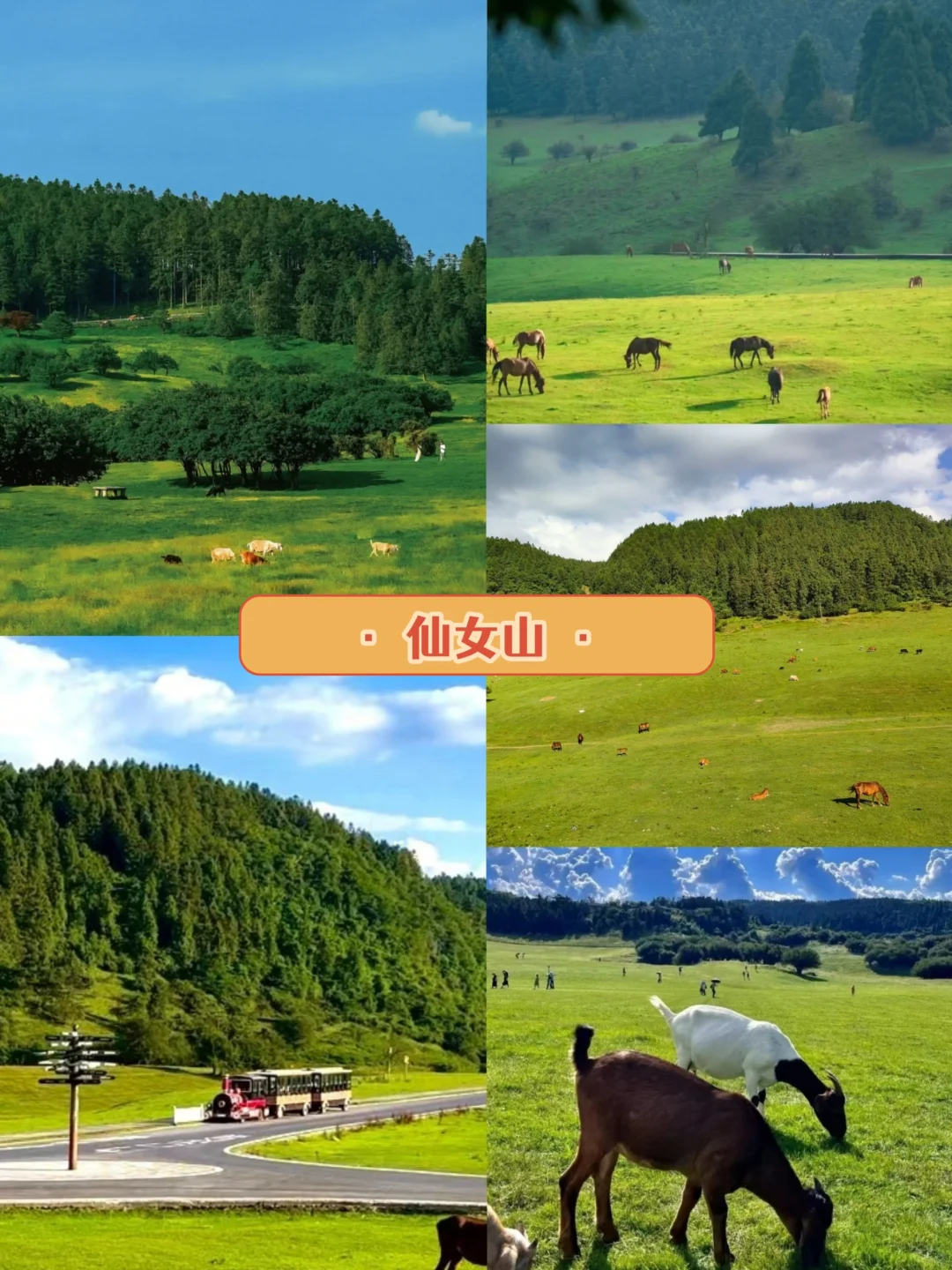 来重庆别再跟团了❗❗私人定制游走起💨