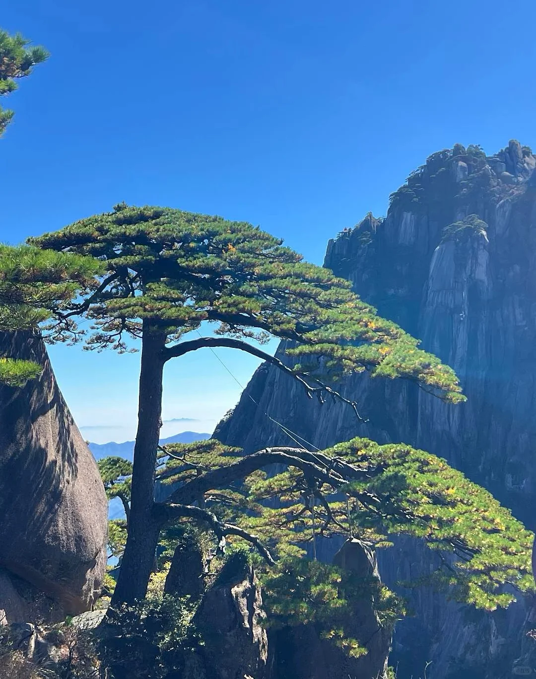 爬了黄山，才知中国顶级景区含金量！