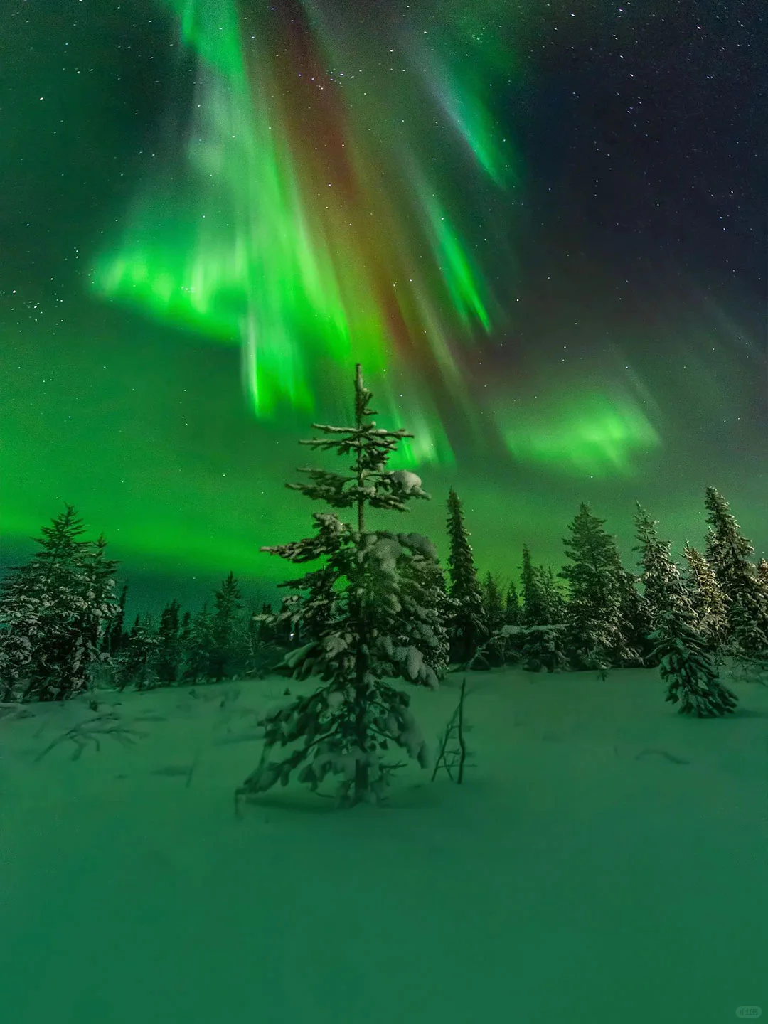 摩尔曼斯克极光4日游｜超值早鸟+夜追极光