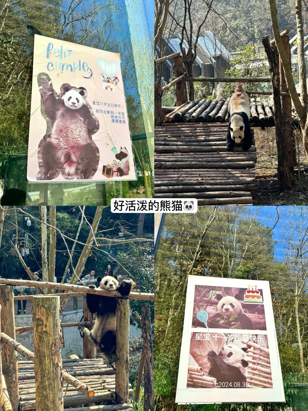 贵阳｜三天人均600保姆级逛吃攻略❗❗❗