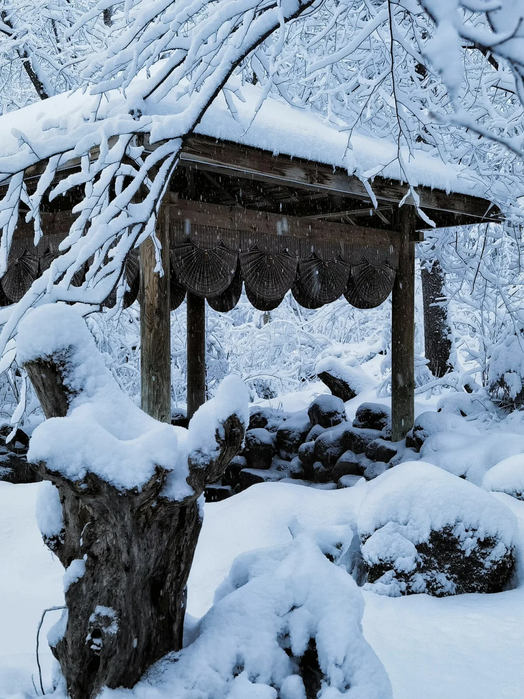 传下去❗️长白山蓝景雪季封板暴跌😭