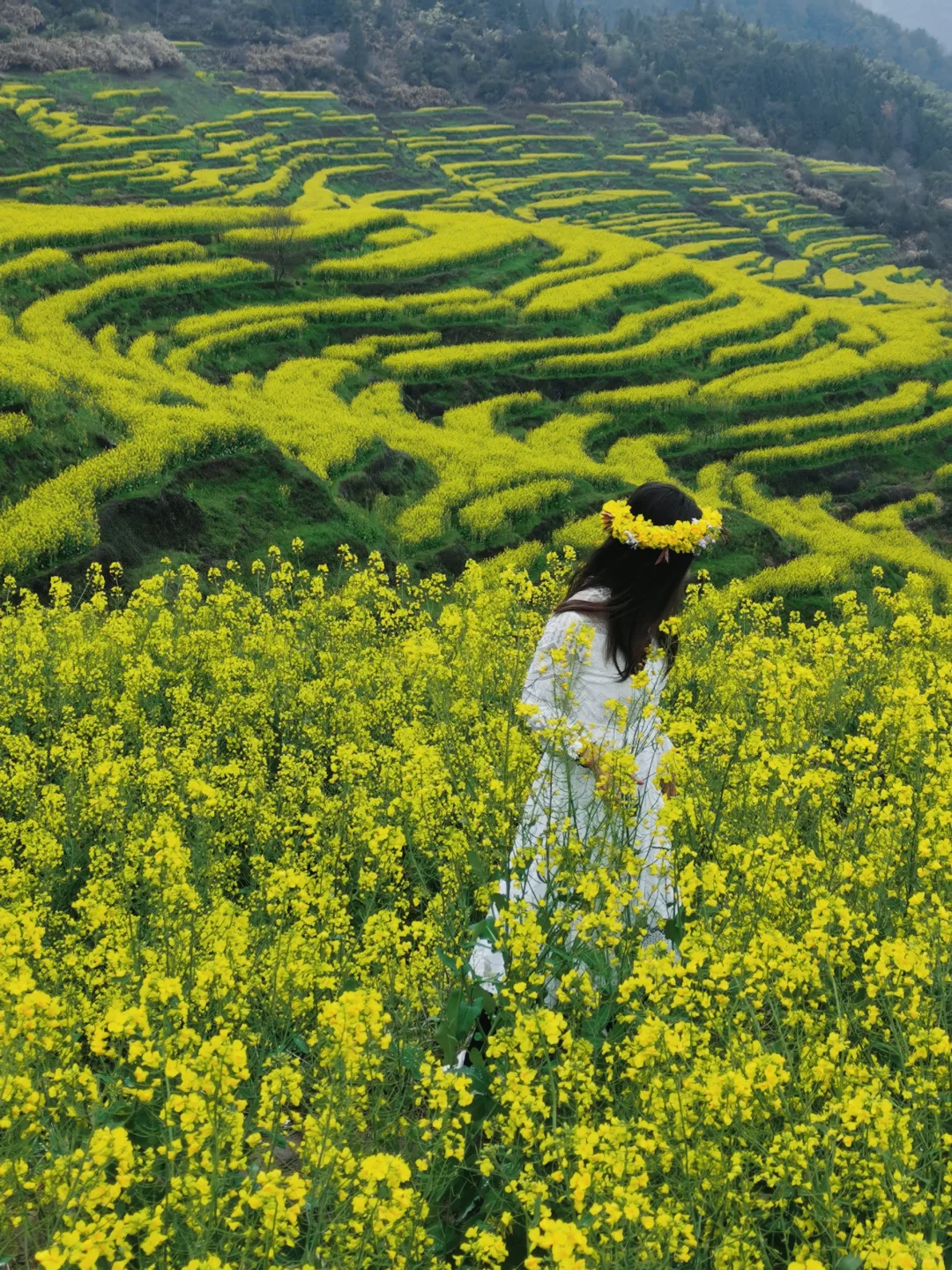 不踩雷不拥挤没门票，④条婺源小众玩法奉上