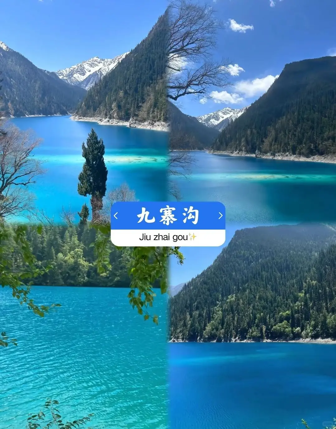 四川旅行必打卡的美丽景点