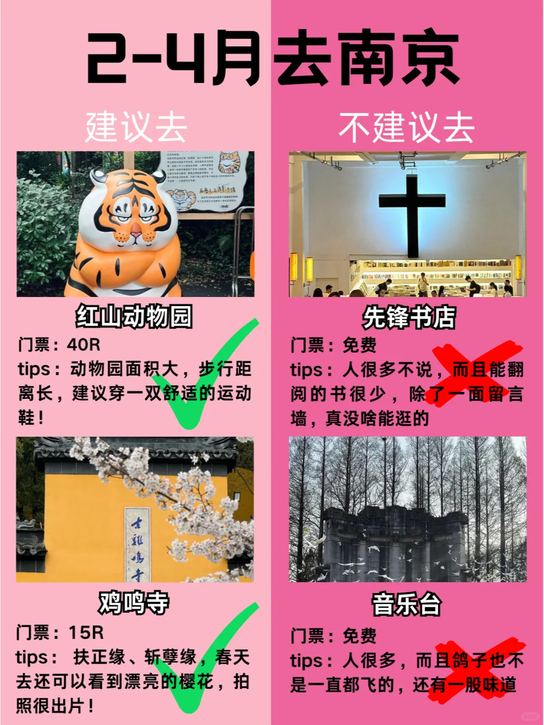春季南京旅游别去错地方了❗来看看红黑榜