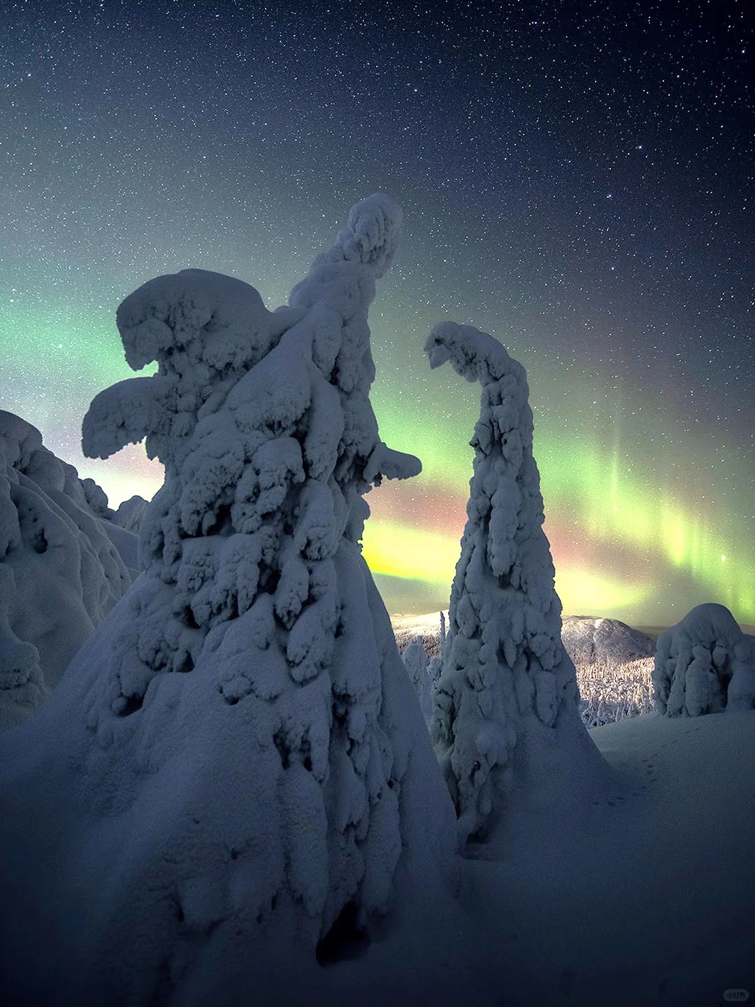 摩尔曼斯克极光4日游｜超值早鸟+夜追极光