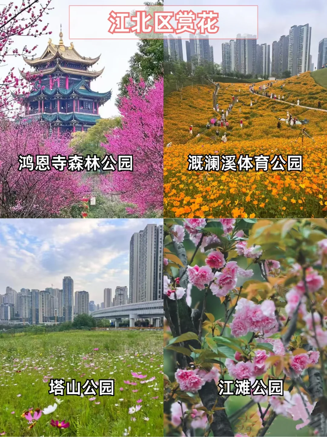 重庆主城赏花地🌸宝子们快打卡📷