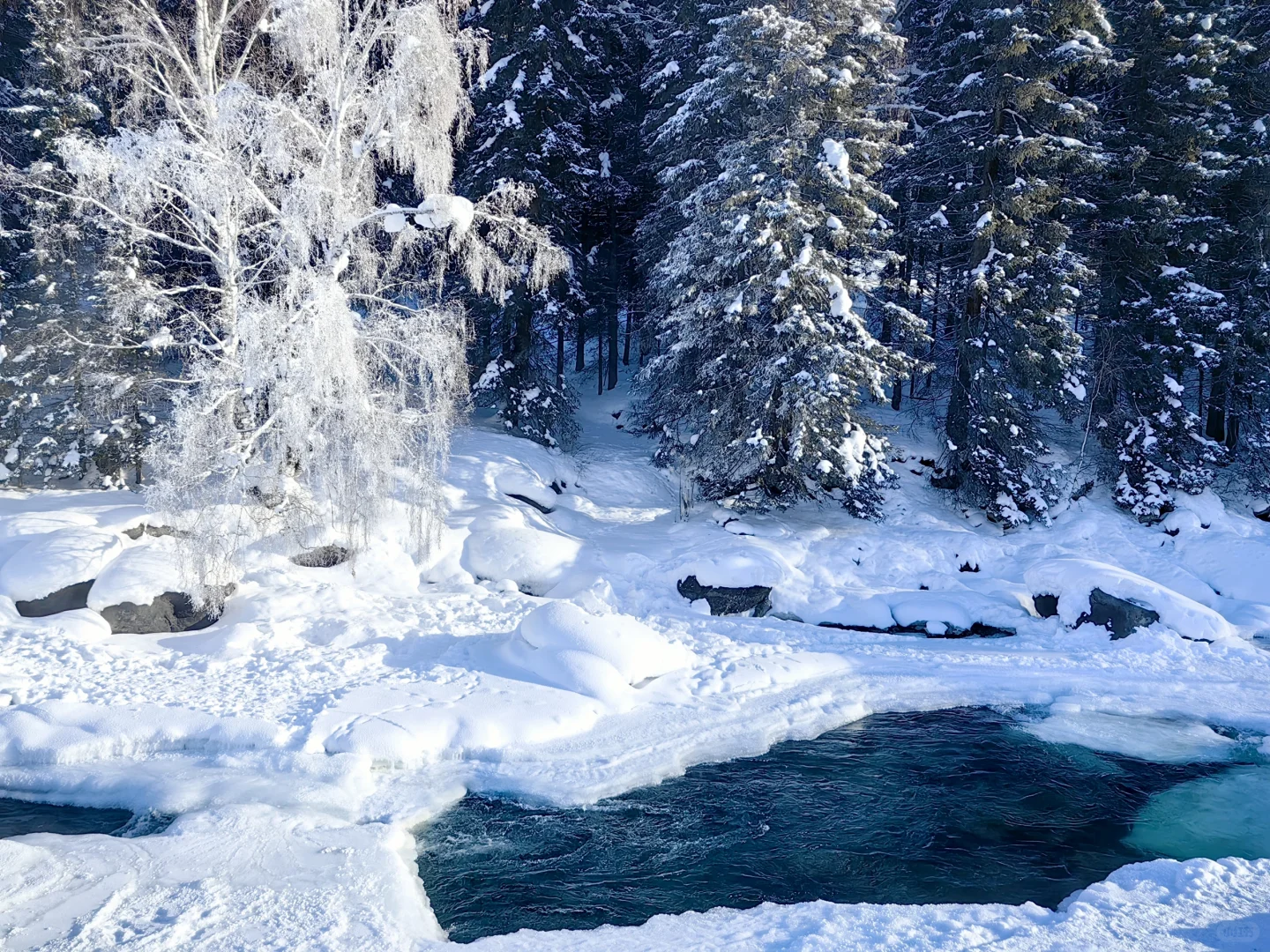 喀纳斯怎么玩？是否值得住一晚？