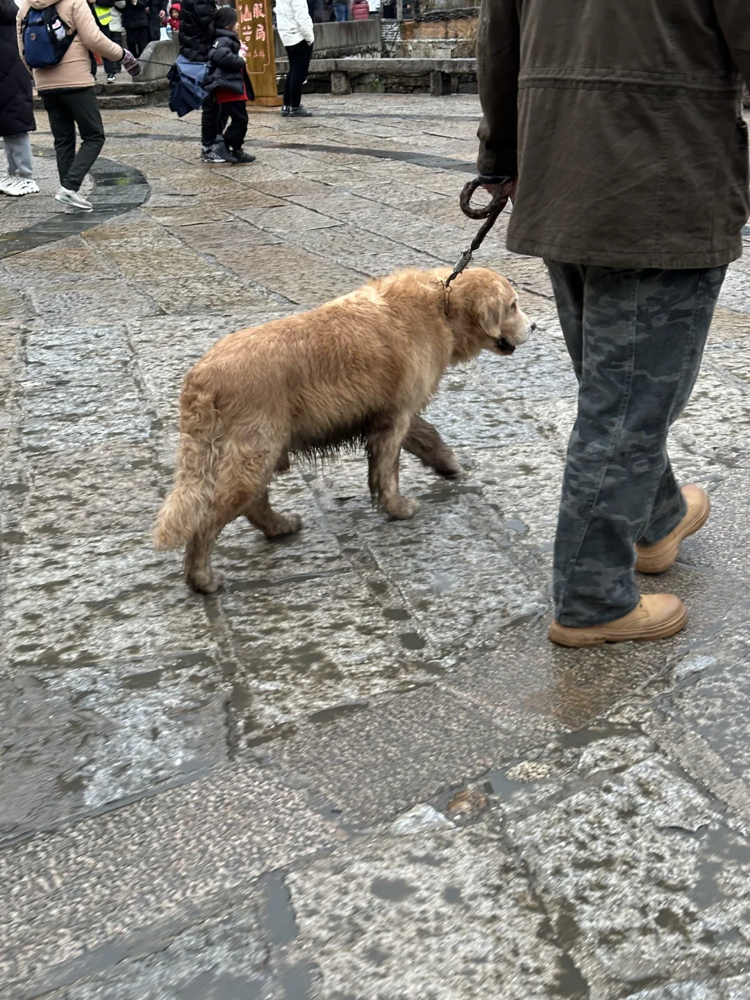 大年初四望仙谷实况