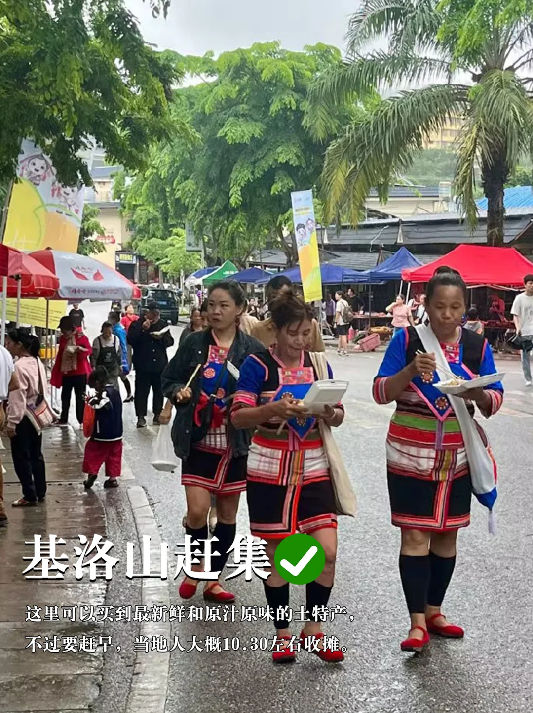 西双版纳景点避坑红⭕黑⚫榜（本地版）