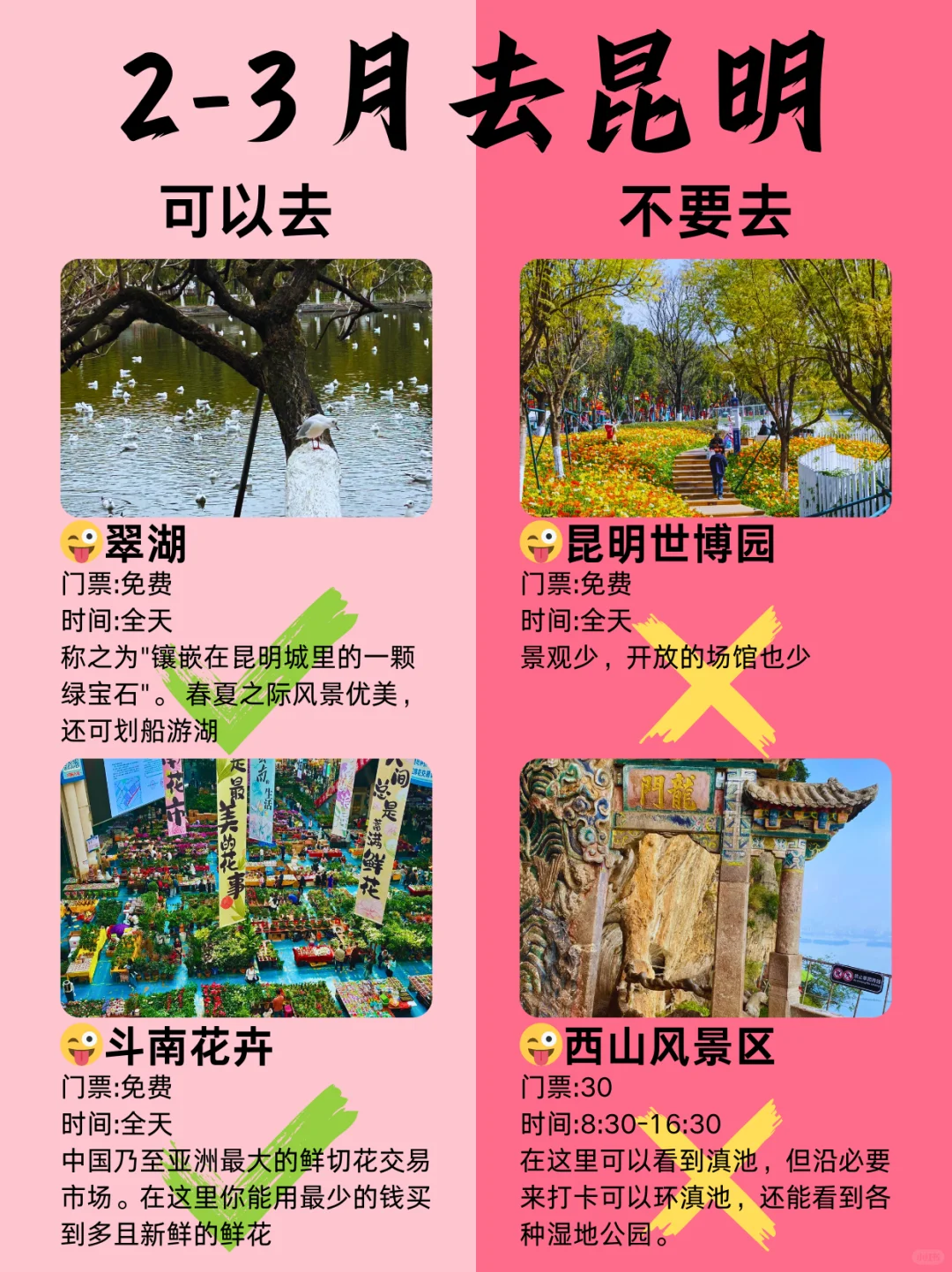 主打听劝，昆明会惩罚每一个不做攻略就去的