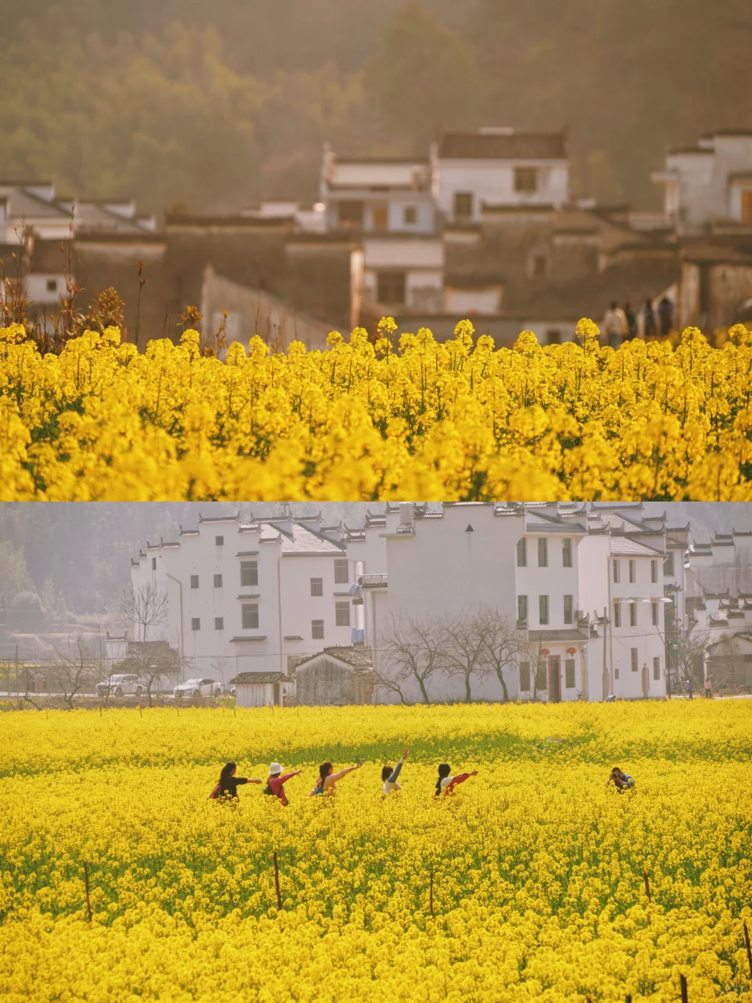 不踩雷不拥挤没门票，④条婺源小众玩法奉上