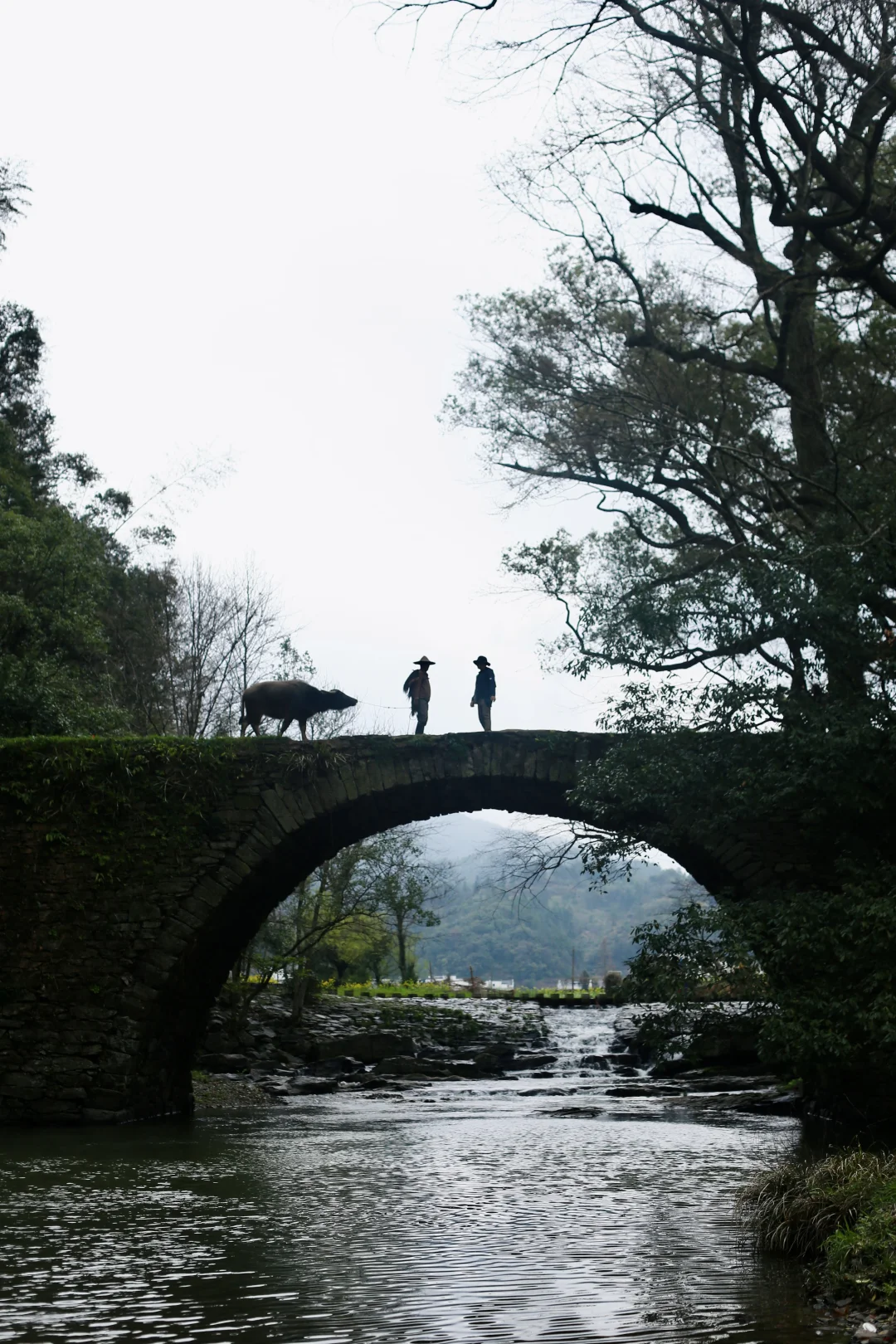 不踩雷不拥挤没门票，④条婺源小众玩法奉上
