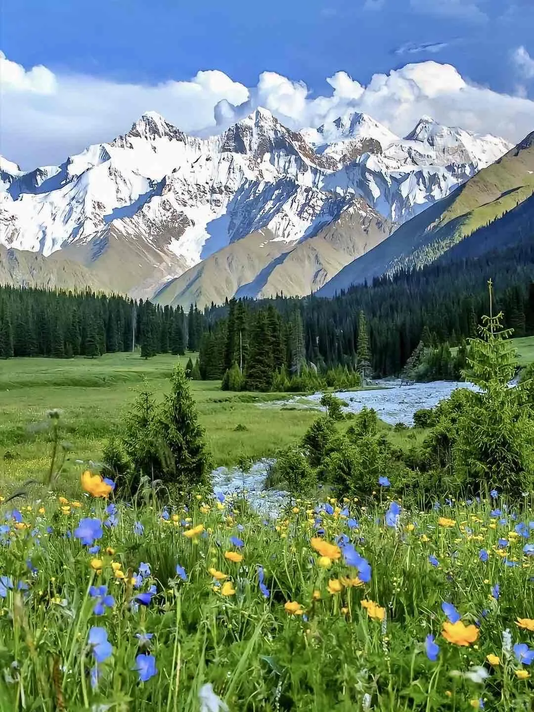 和闺蜜去新疆伊犁七天📍消费观崩塌了...
