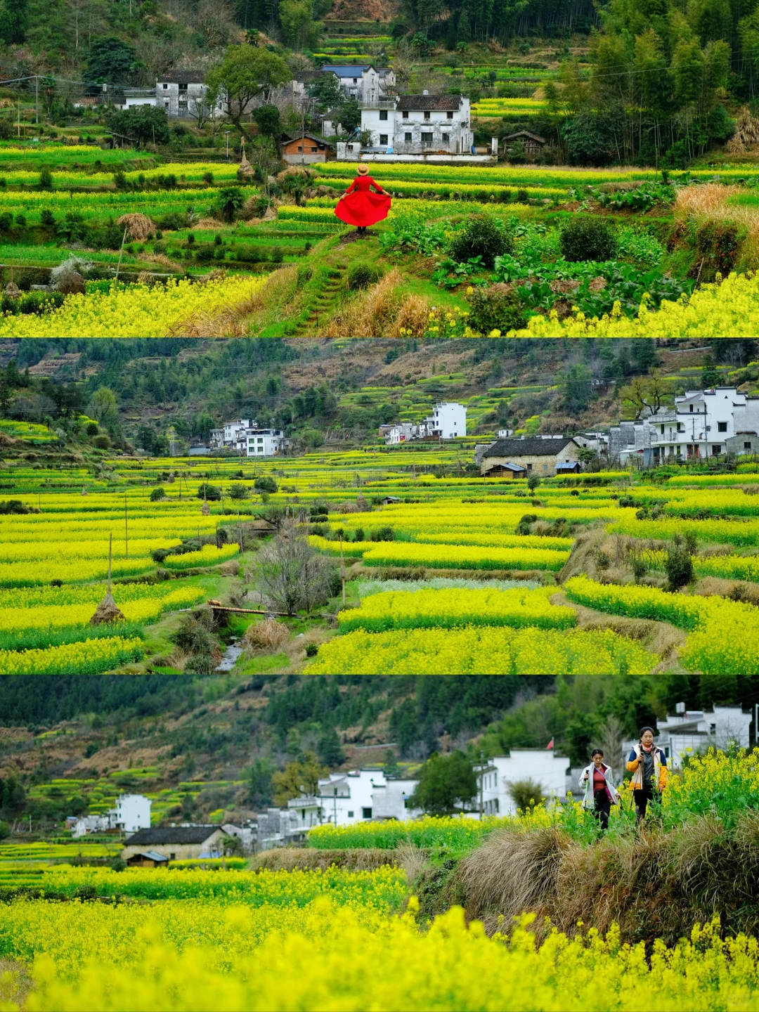 不踩雷不拥挤没门票，④条婺源小众玩法奉上
