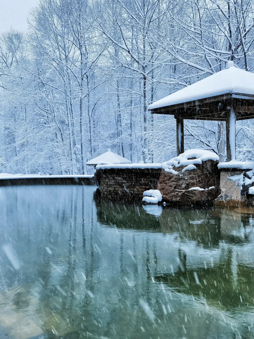 传下去❗️长白山蓝景雪季封板暴跌😭