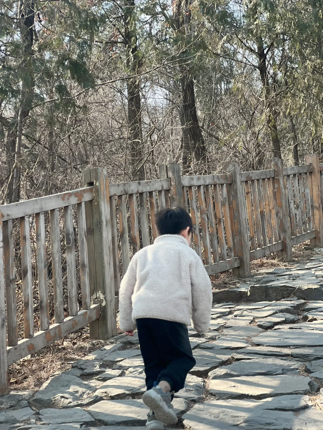 大班请假｜戒台寺亲子游爬山get🎉