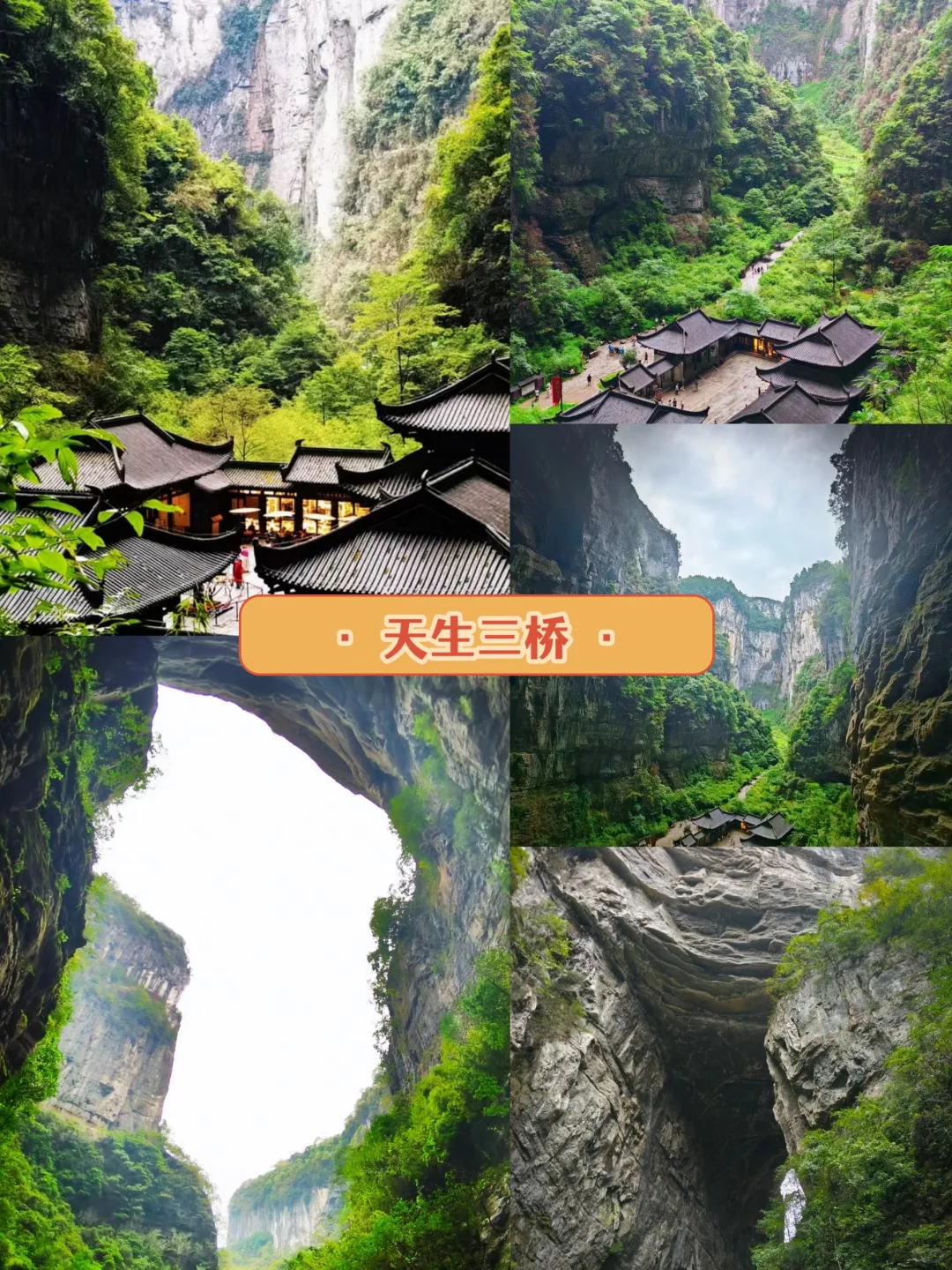 来重庆别再跟团了❗❗私人定制游走起💨