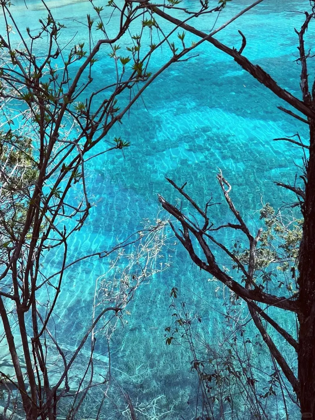 谁懂呀😭3月的九寨沟就是人间仙境✨吧！