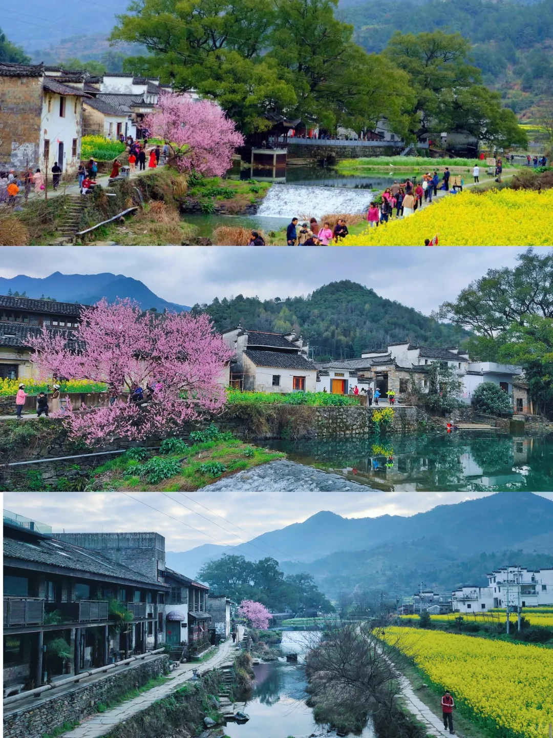 不踩雷不拥挤没门票，④条婺源小众玩法奉上