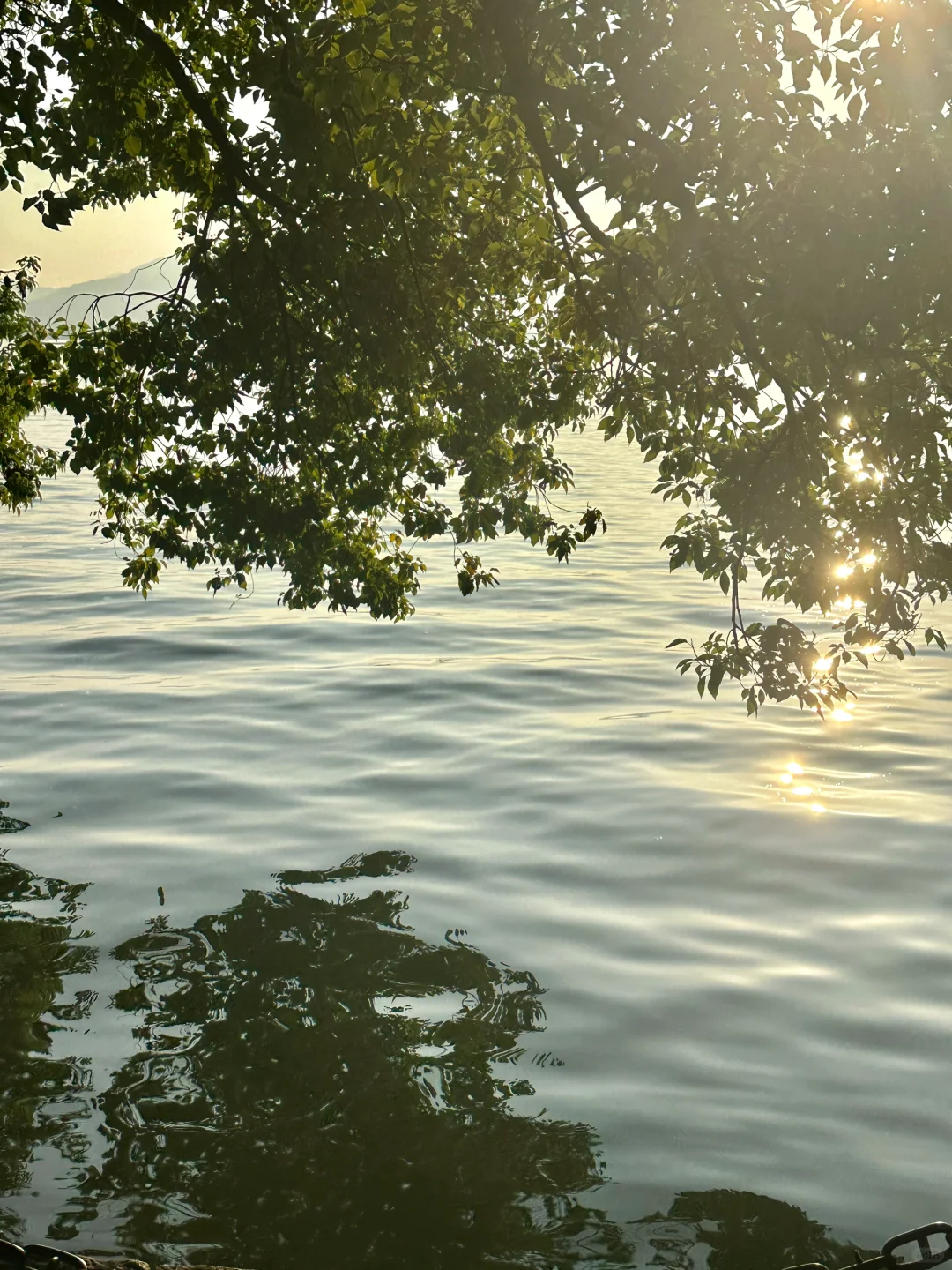 杭州|大学生周末旅行攻略