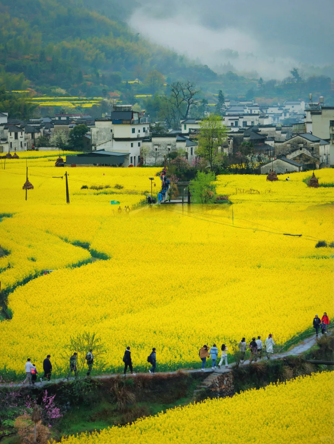 不踩雷不拥挤没门票，④条婺源小众玩法奉上
