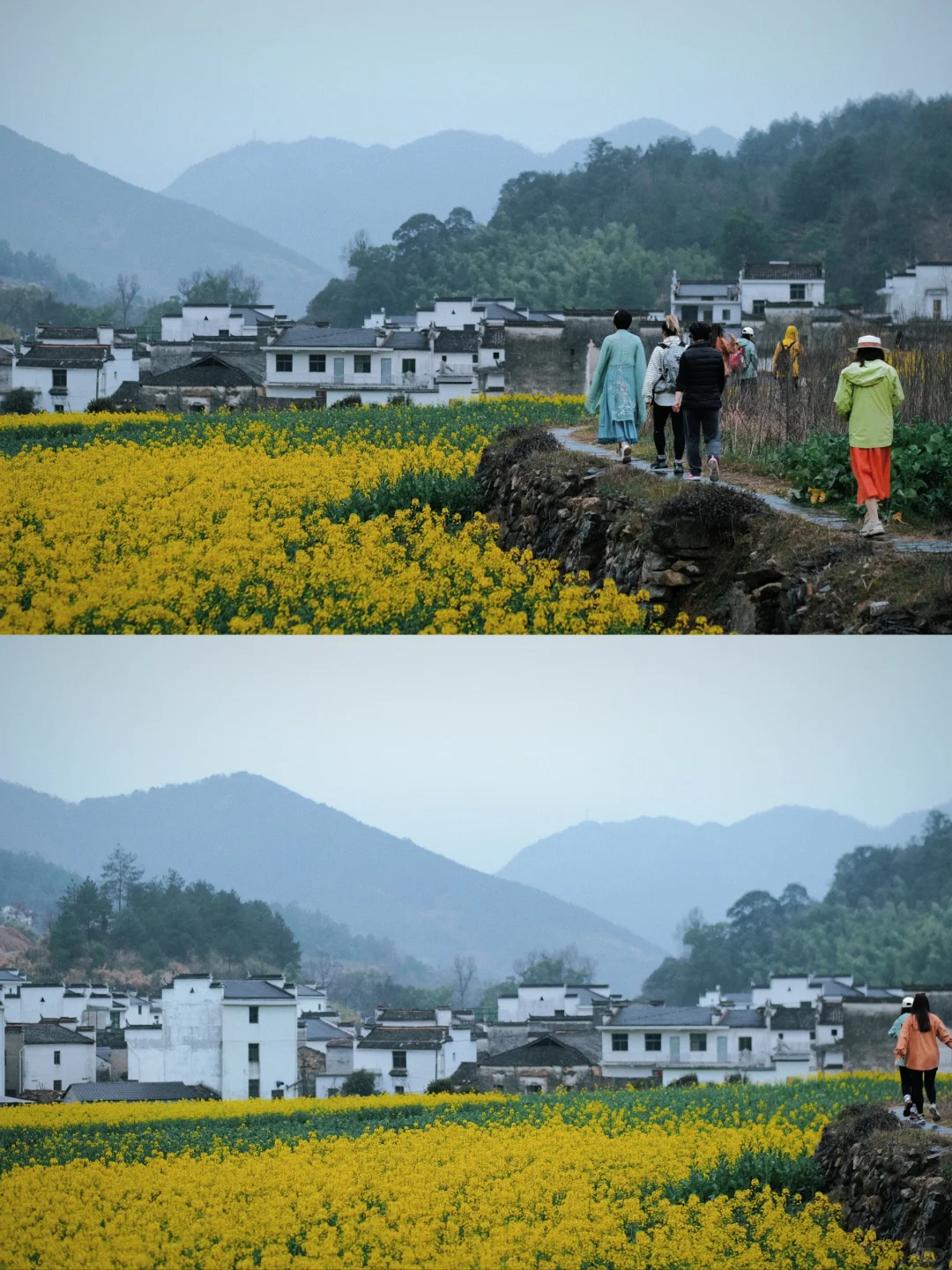 不踩雷不拥挤没门票，④条婺源小众玩法奉上