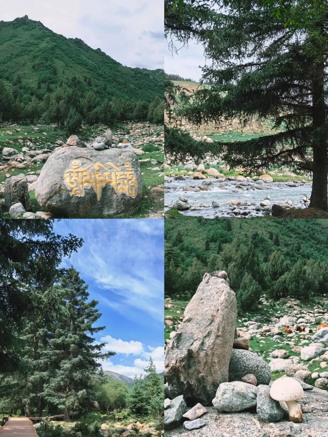 ‼️此生必去“河西走廊”