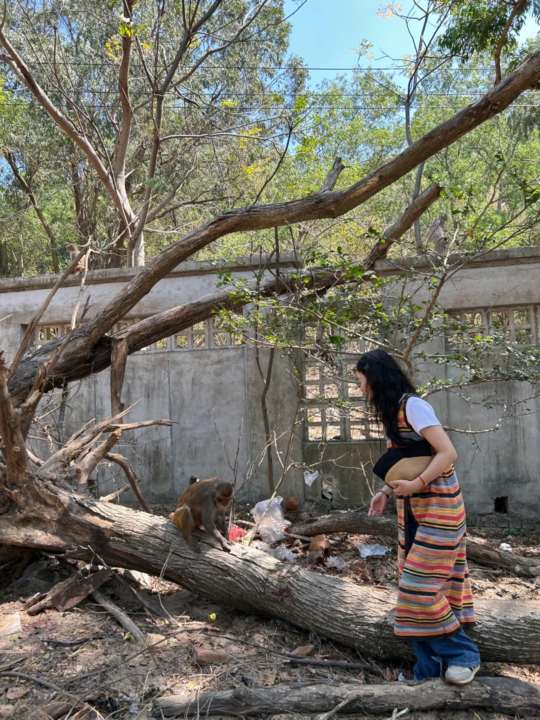 陵水｜想你的风还是吹到了陵水⛱️
