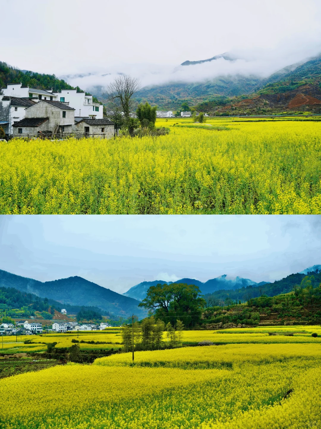 不踩雷不拥挤没门票，④条婺源小众玩法奉上