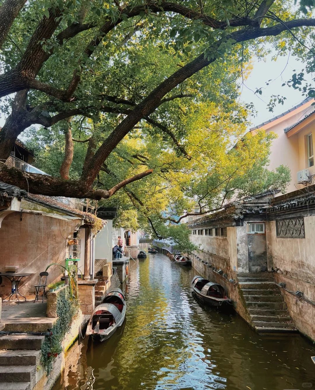 🔥总要下一次江南吧︳三月烟雨入画🌧