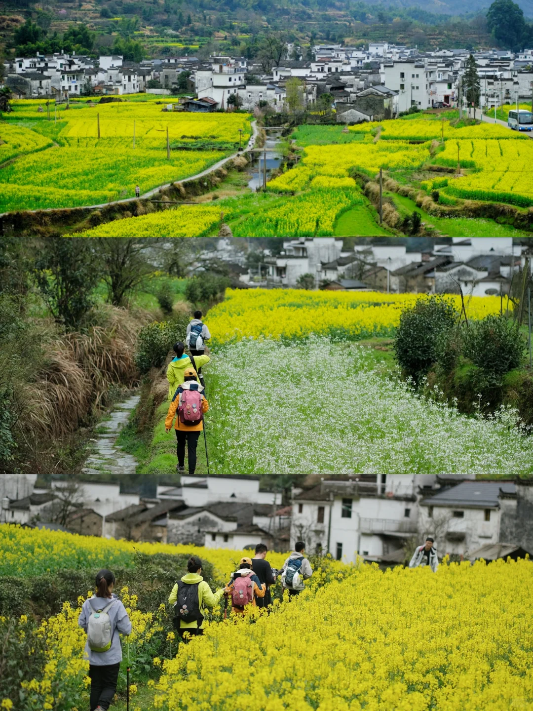 不踩雷不拥挤没门票，④条婺源小众玩法奉上