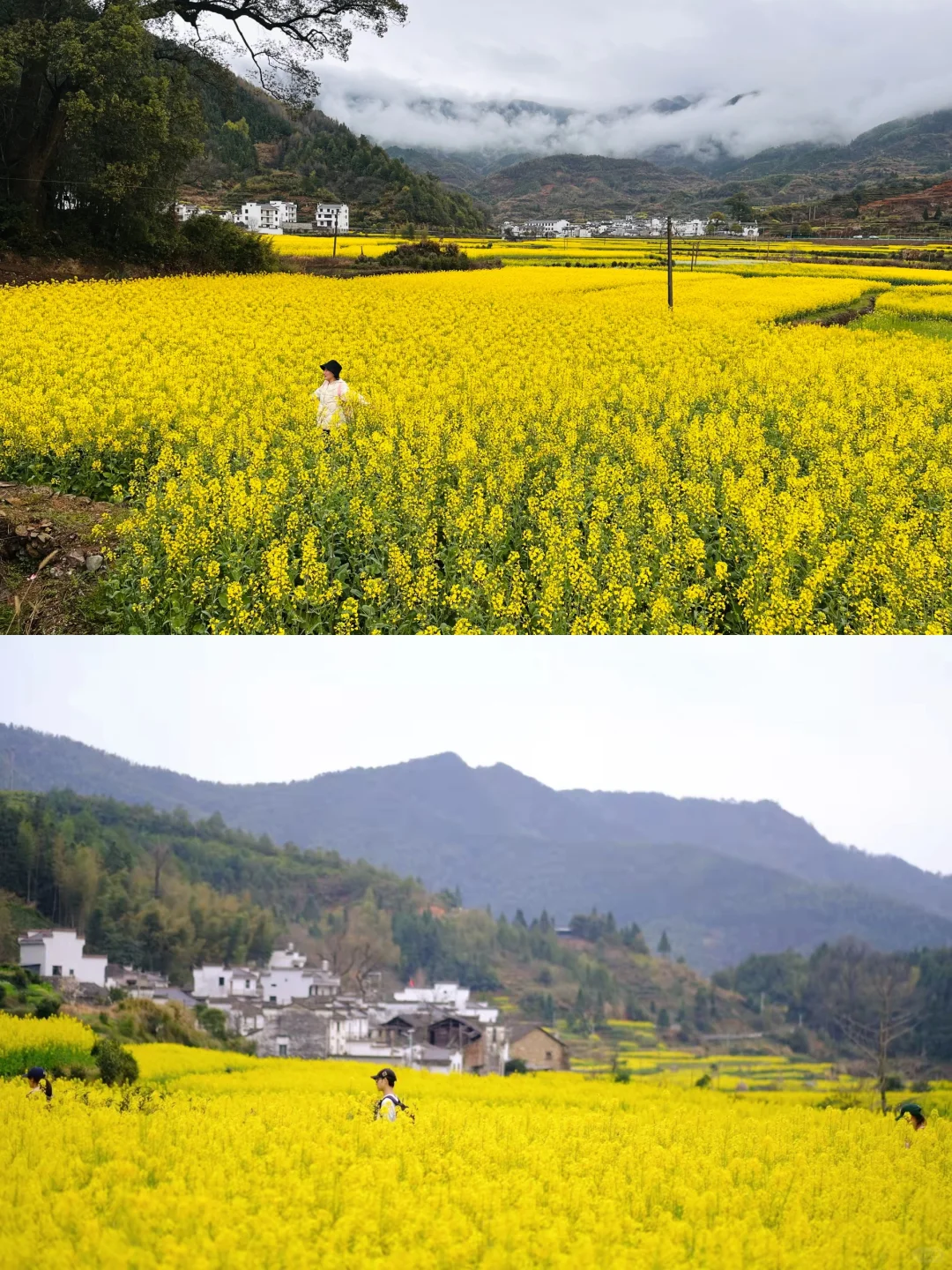 不踩雷不拥挤没门票，④条婺源小众玩法奉上