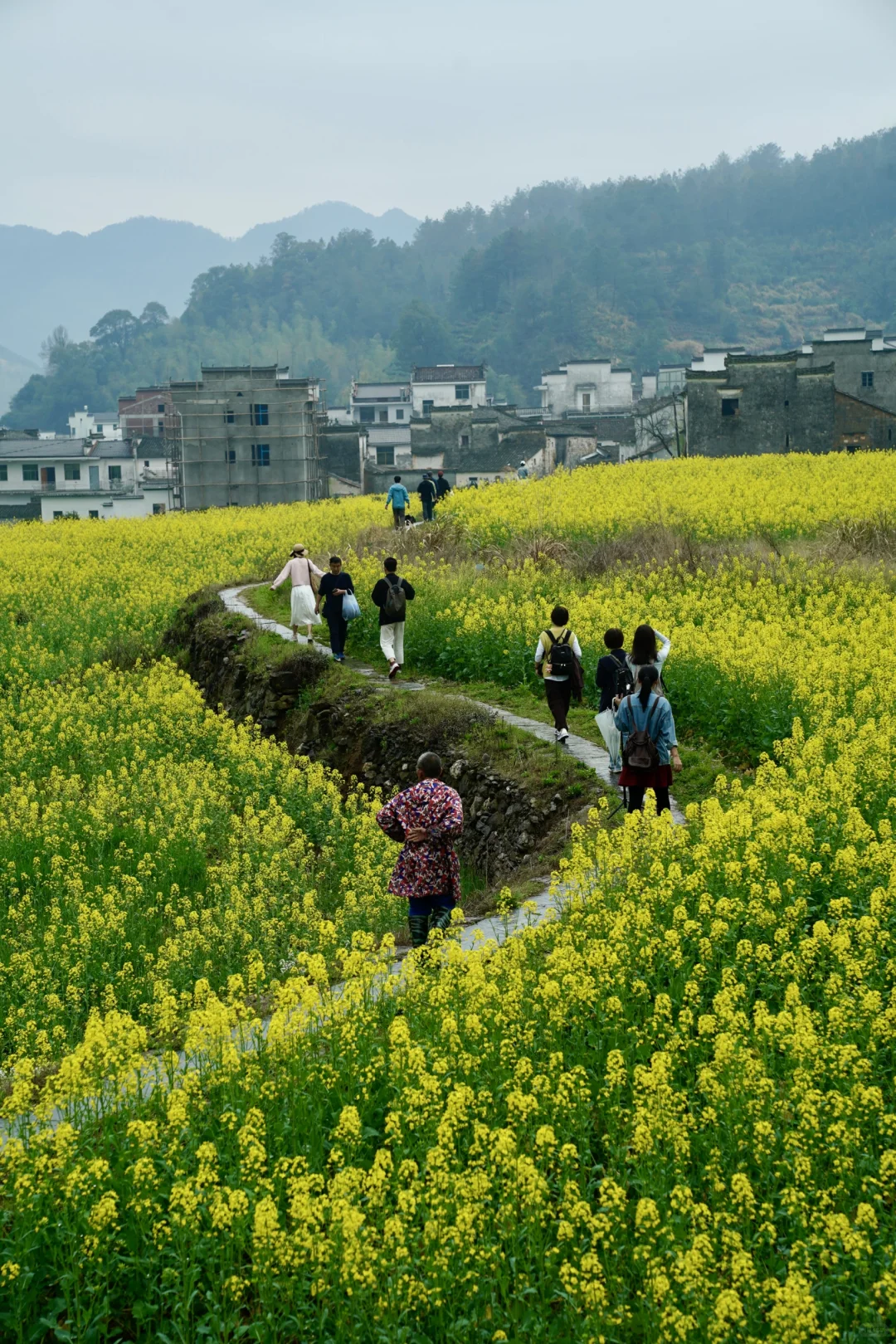 不踩雷不拥挤没门票，④条婺源小众玩法奉上