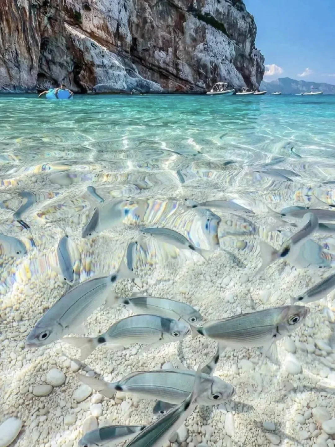 五一去哪玩？斐济绝美海岛了解一下？😋